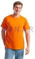 T-Shirt Fruit zielen pomarancz.jpg