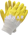 RGS.png